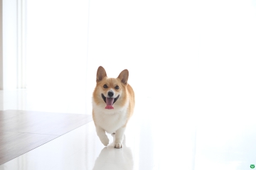 写真展